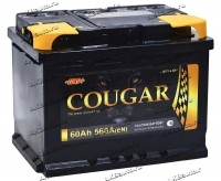 Аккумулятор автомобильный Cougar Power 60 А/ч 560 A обр. пол. Евро авто (242x175x190) купить в Москве по цене 5600 рублей - АКБАВТО