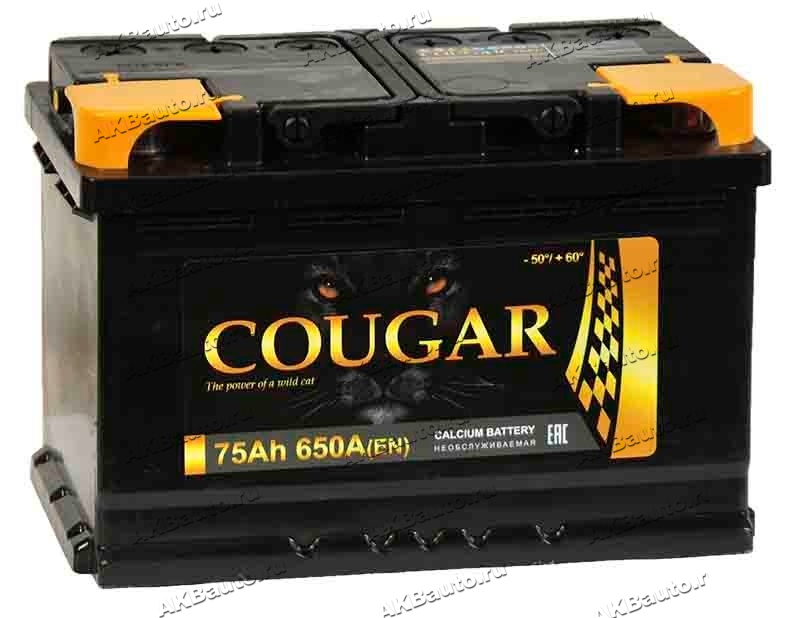 АКБ cougar 60 Ah. Cougar 75 а/ч. Energy 75ач прямая 650а. АКБ MACPOWER 75 прямой.